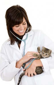 vets-wisbech-paddon-veterinary-surgeons-vetservices2